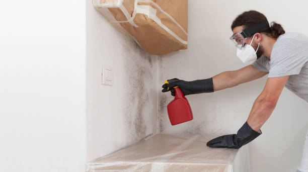 Professional Mold Remediation technician working in Columbia, IL