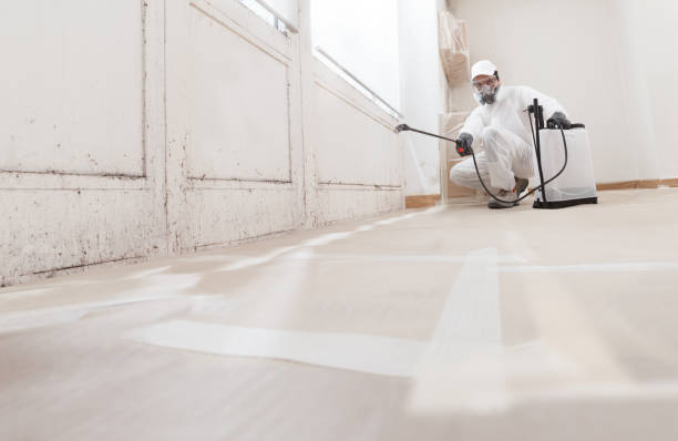 24/7 Emergency Mold Remediation experts in Columbia, IL
