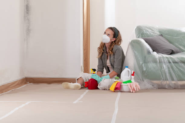 Reliable Mold Remediation contractor in Columbia, IL by Cheap Mold Removal